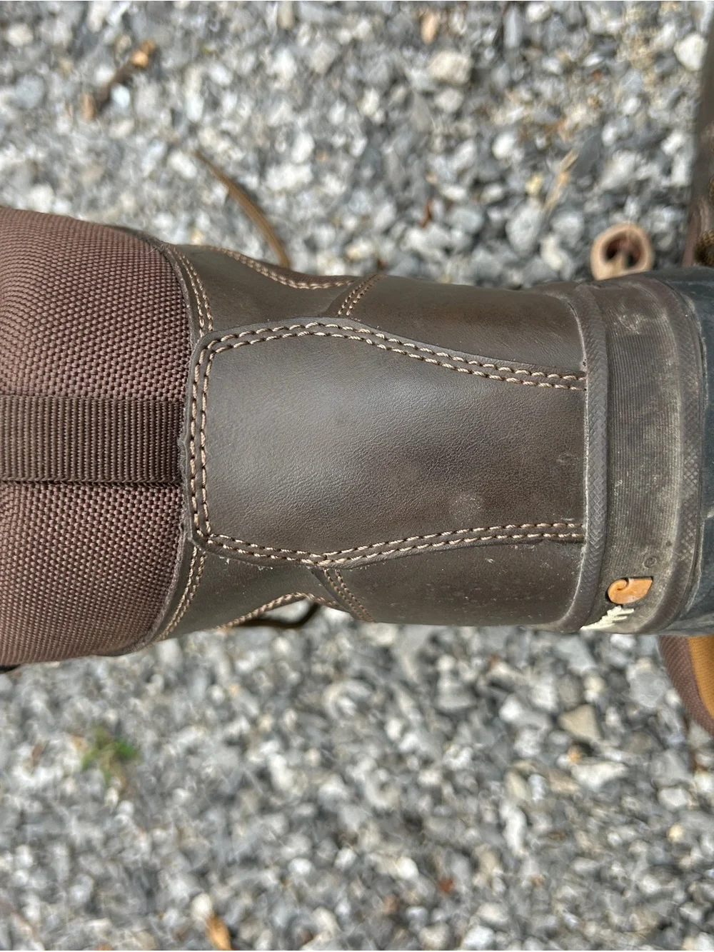 Carhartt Men's CMF6284 6